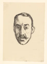 Retrato de Henry van de Velde
Henry van de Velde (título original)