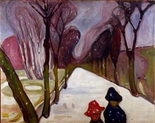 Allee en un torbellino de nieve