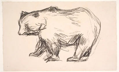 Osos