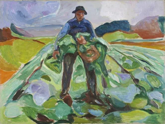 Hombre en el campo de coles