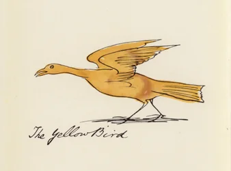 Edward Lear, El libro de los pájaros: El pájaro amarillo (litografia en color)
