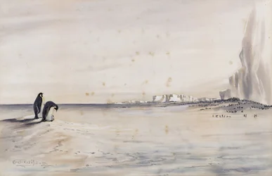 La Colonia de Pingüinos Emperador, Cabo Crozier