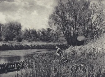 May-time on a Test Tributary (foto en blanco y negro)