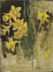 Narcisos