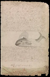 Placa del diario de Edward Barlow sobre su vida en el mar en barcos del rey, Indias Orientales y Occidentales y otros mercantes de 1659 a 1703.