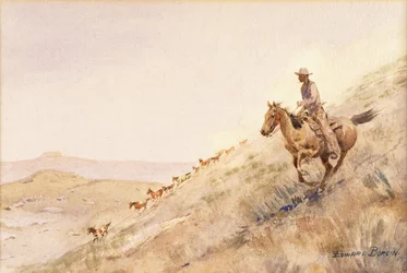 Reuniendo Caballos