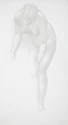 Desnudo femenino inclinado