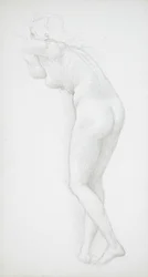Desnudo femenino visto desde atrás
