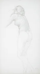 Desnudo femenino visto desde atrás