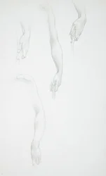 Estudios de brazos y manos (anverso); Estudio de un torso femenino (reverso)
