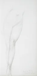 Estudio de las piernas femeninas