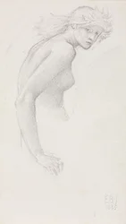 Estudio de una Figura Femenina