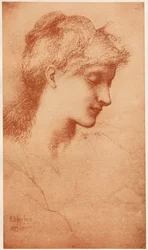 Belleza