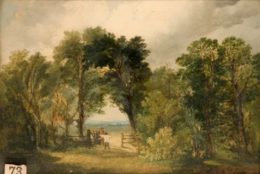 Un claro en el bosque