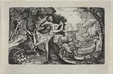 La fiesta de la sidra