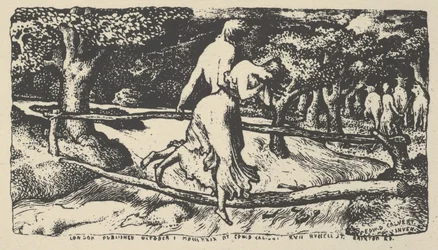 El Diluvio, 1904