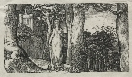 La dama y las cornejas