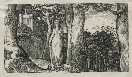La dama y las torres, 1829