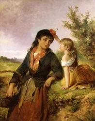 Amapolas