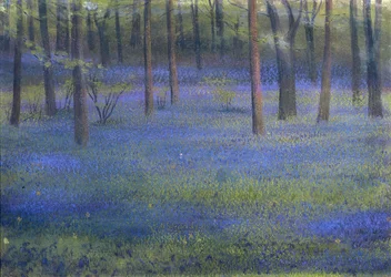 Bosque de campanillas azules