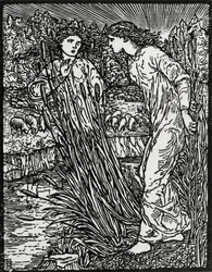 La tarea de la oveja de lana dorada
