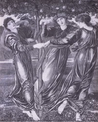 El jardín de las Hespérides, Anuario de Bibby
