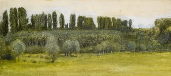 Paisaje con sauces y álamos, estudio