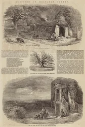 Bocetos en el bosque de Hainault