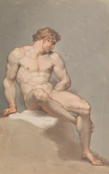 Estudio de un desnudo masculino