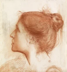 Cabeza de una Mujer