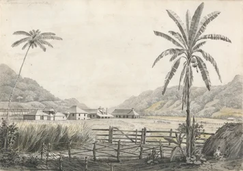 Vista de la plantación de azúcar Hall-head, Jamaica