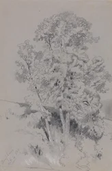Burpham, 4 de octubre de 1834