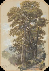 Quarry Corps, 28 de junio de 1838