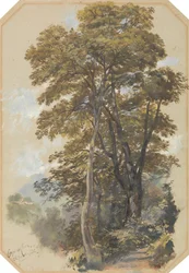 Corpo di Cava, 28 de junio de 1838