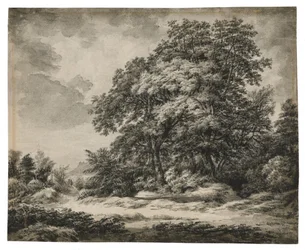 Paisaje forestal