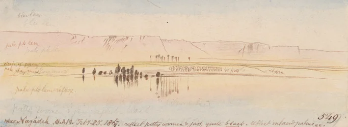 Cerca de Negadeh; 8:00 A.M., 25 feb. 1867 (549)