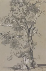 Parham, 13 de octubre de 1834