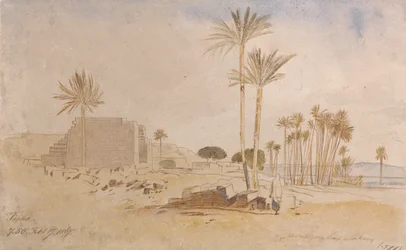 Tapha, 7:50 a.m., 17 de febrero de 1867