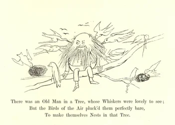 Había un viejo en un árbol, cuyos bigotes eran hermosos de ver