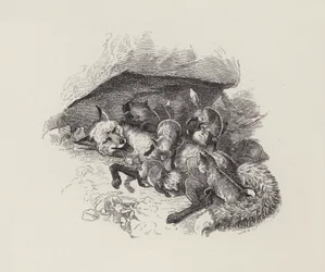 Ilustración para Los Niños del Agua de Charles Kingsley (grabado)