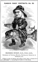 Thomas Henry Huxley, biólogo inglés, 1881