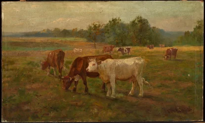 Vacas