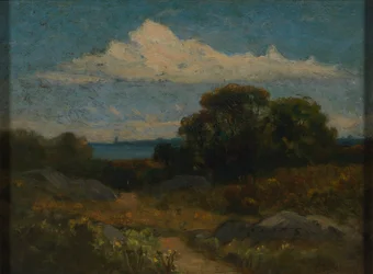 Paisaje (árboles y rocas junto al lago)