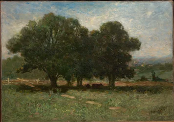 Paisaje