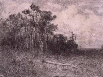 Paisaje, Escena de bosque