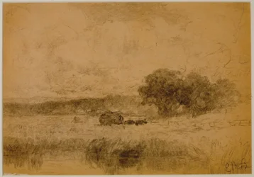 Landscape, Woods (#13) c. 1880 (grafito sobre papel)