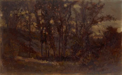 Escena de bosque sin título, árbol caído en primer plano y casa en el fondo