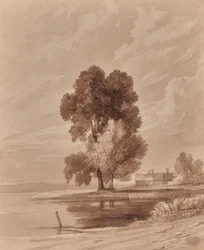Paisaje con árboles