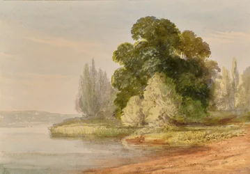 Paisaje con árboles