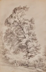 Paisaje con árboles